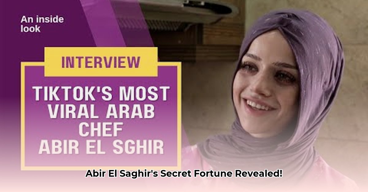 abir-el-saghir-net-worth